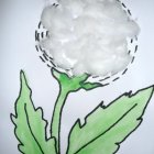 2,5 года.Атай