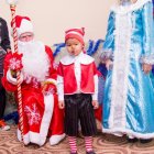 2014 Новогодняя ёлка